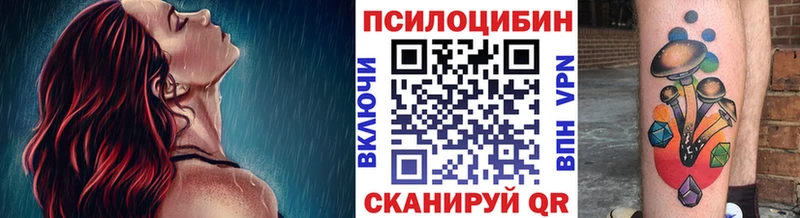 закладка  сайты даркнета какой сайт  Галлюциногенные грибы Psilocybe  Казань 