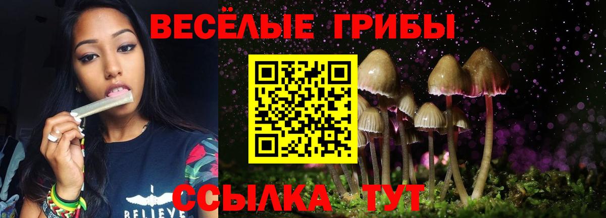 Казань  Галлюциногенные грибы Magic Shrooms  Галлюциногенные грибы прущие грибы  Вход с VPN 