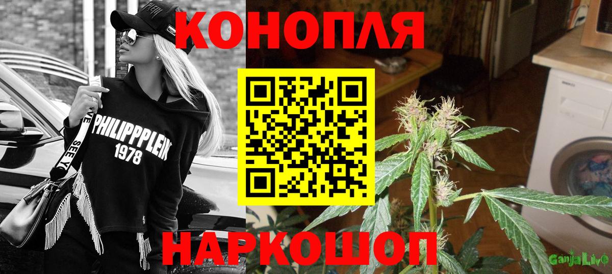 Каннабис план Казань
